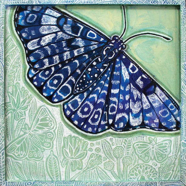 Moths: Summer Blues by Lynnette Shelley