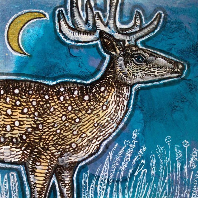 Deer And Moon