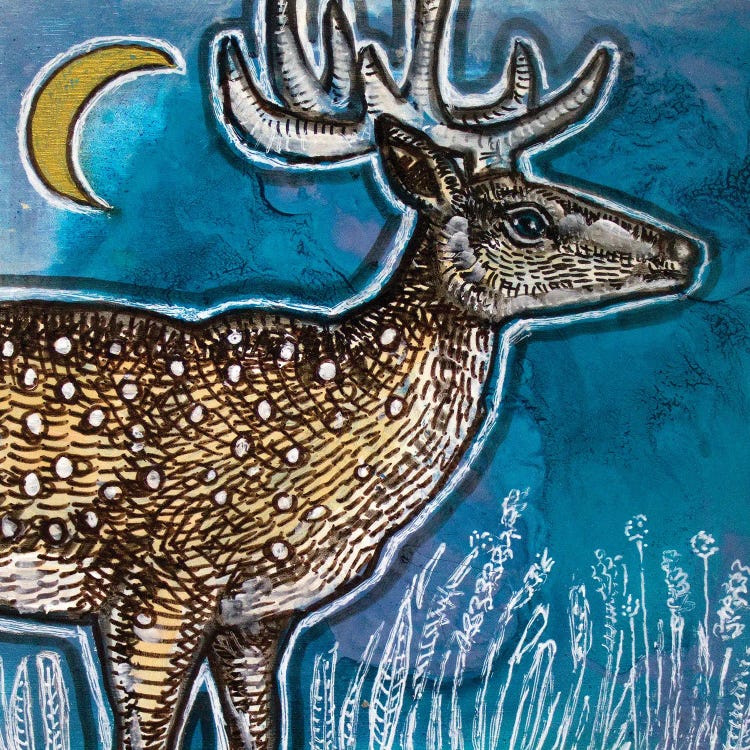 Deer And Moon
