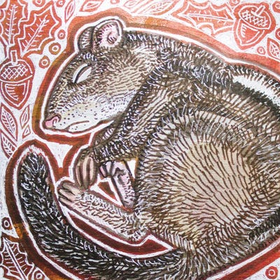 Chipmunk by Lynnette Shelley art print