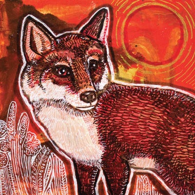 Autumn Fox by Lynnette Shelley art print