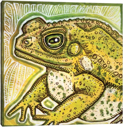 Fat Toad Canvas Art Print - Frog Art