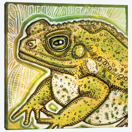 Fat Toad Canvas Print #LSH298} by Lynnette Shelley Canvas Artwork