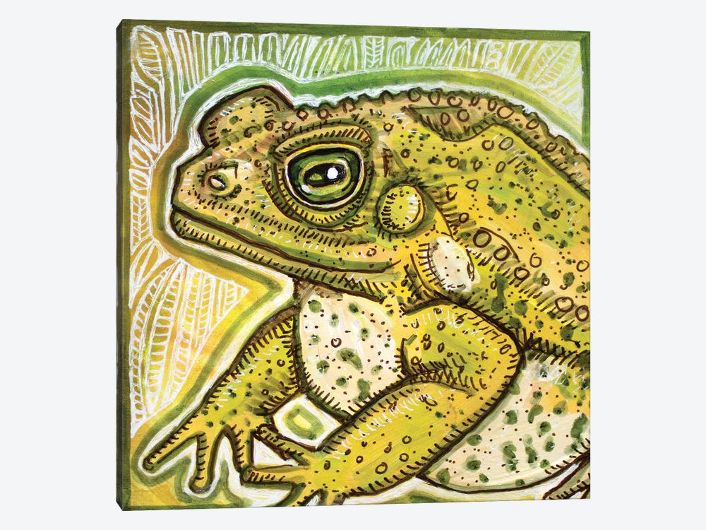Fat Toad by Lynnette Shelley 1-piece Canvas Print