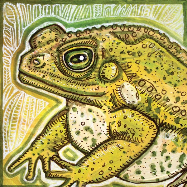 Frogs: Fat Toad by Lynnette Shelley