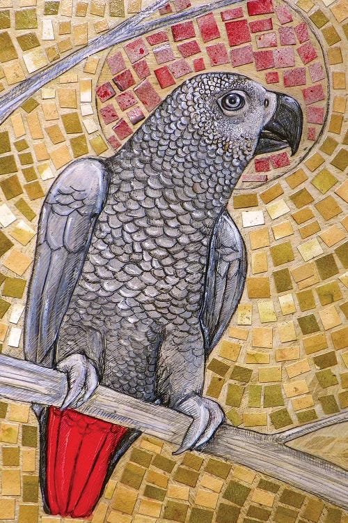 African Grey Sunset