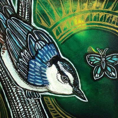 White-Breasted Nuthatch by Lynnette Shelley art print