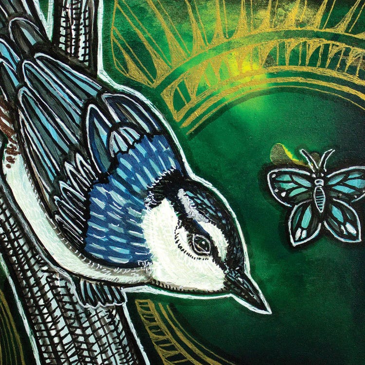 White-Breasted Nuthatch by Lynnette Shelley wall art