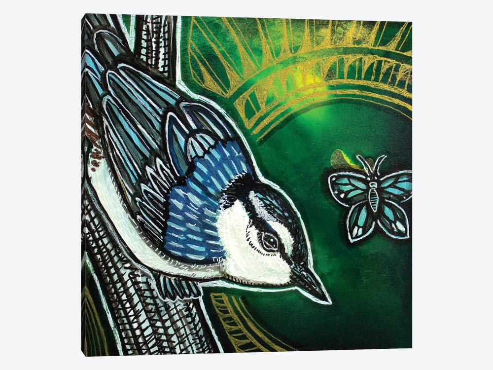 White-Breasted Nuthatch by Lynnette Shelley 1-piece Canvas Print