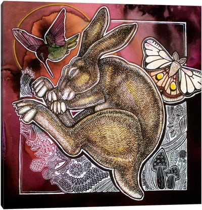 The Dreaming Hare Canvas Art Print - Lynnette Shelley