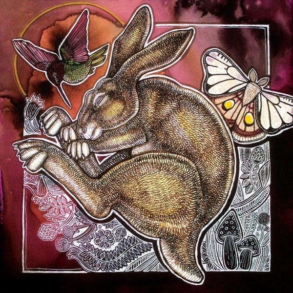 Hummingbirds: The Dreaming Hare by Lynnette Shelley