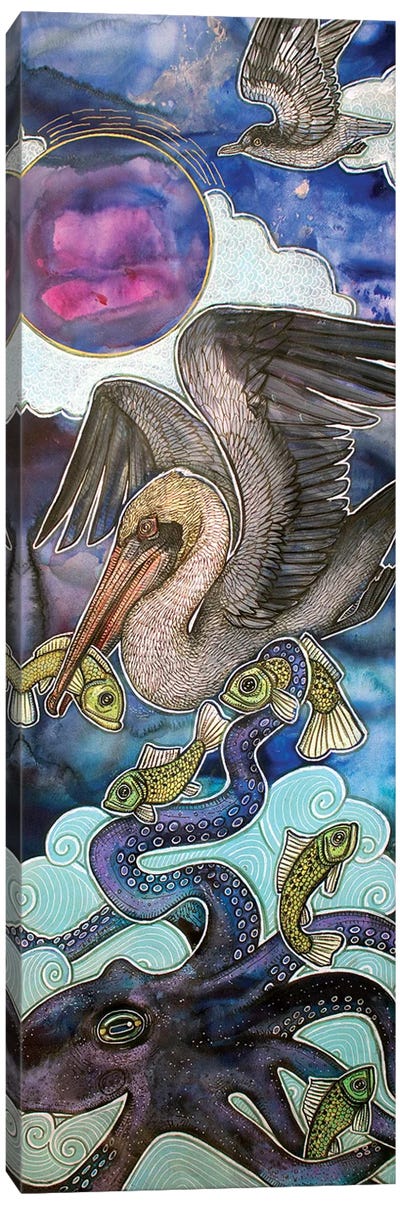 Between Sea And Sky Canvas Art Print - Pelican Art