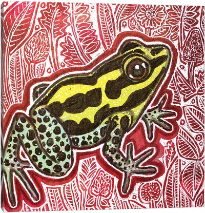 Poison Dart Frog Canvas Art Print - Lynnette Shelley
