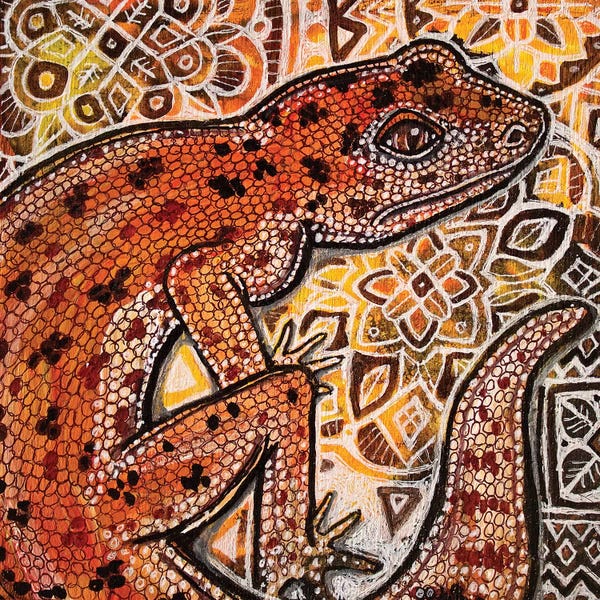 Lizards: Gecko On Ornamental by Lynnette Shelley