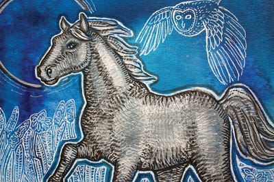 Blue Skies For A Silver Horse by Lynnette Shelley art print