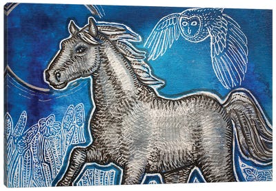 Blue Skies For A Silver Horse Canvas Art Print - Lynnette Shelley