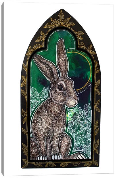 Wild Rabbit On The Green Canvas Art Print - Lynnette Shelley