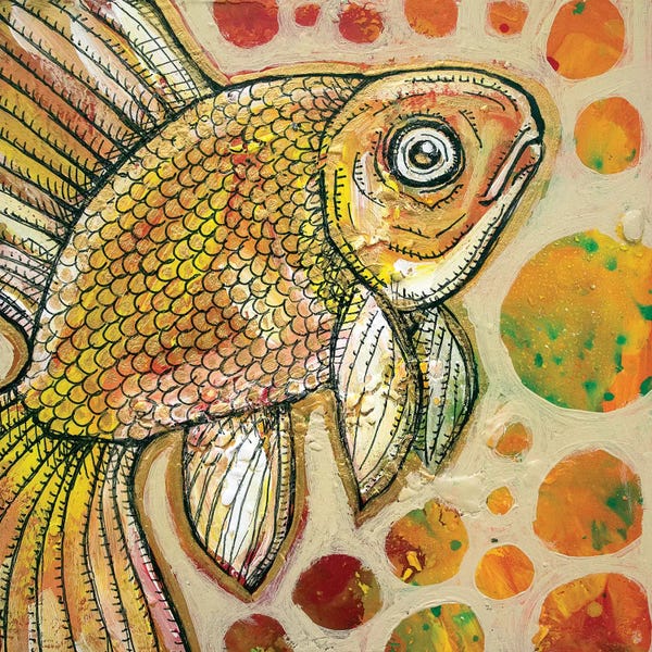 Goldfish: Goldfish by Lynnette Shelley