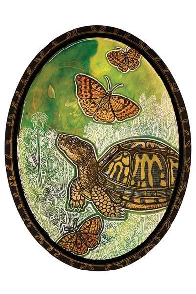 Turtles: Chasing Fritillaries by Lynnette Shelley