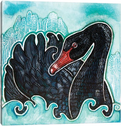 Black Swan Canvas Art Print - Lynnette Shelley