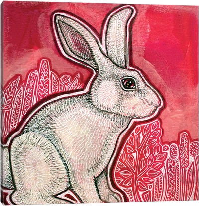 White Rabbit Canvas Art Print - Lynnette Shelley