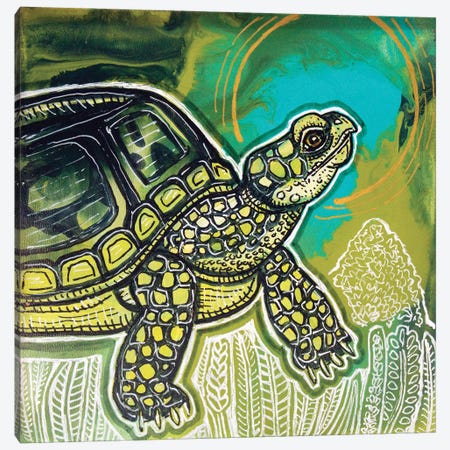 Turtle Time Canvas Print #LSH481} by Lynnette Shelley Art Print