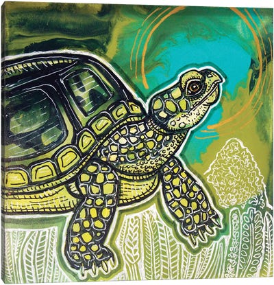 Turtle Time Canvas Art Print - Lynnette Shelley