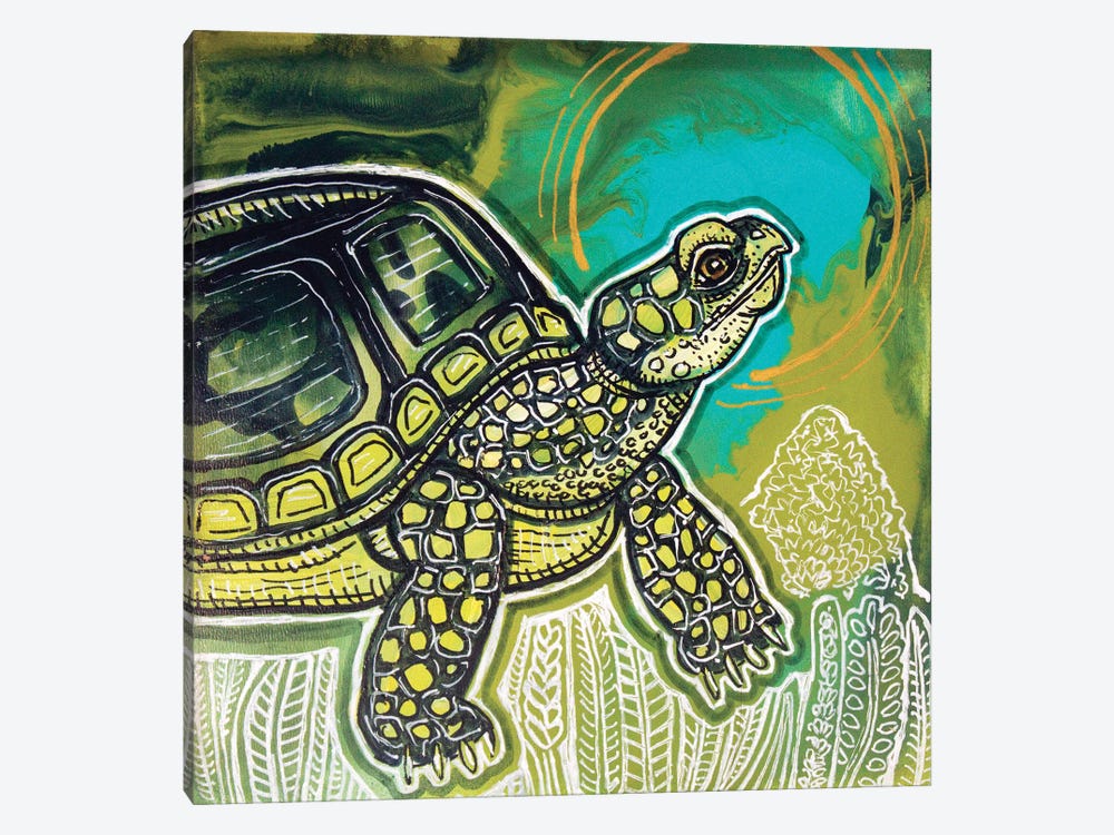 Turtle Time by Lynnette Shelley 1-piece Canvas Art Print