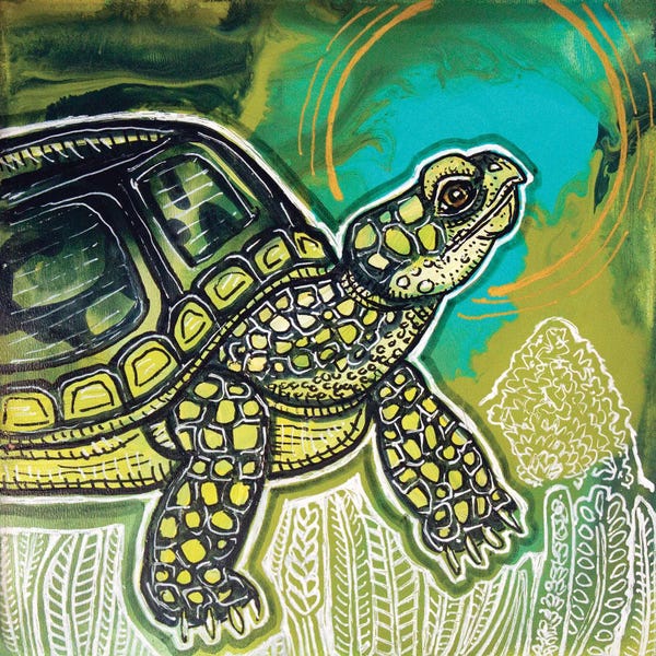 Turtles: Turtle Time by Lynnette Shelley