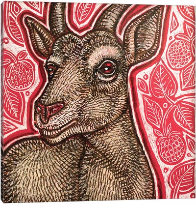 Got Your Goat Canvas Art Print - Lynnette Shelley