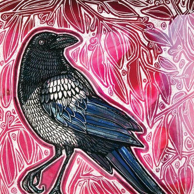 Curious Magpie by Lynnette Shelley art print