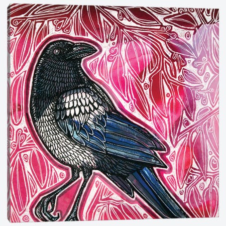 Curious Magpie Canvas Print #LSH488} by Lynnette Shelley Art Print