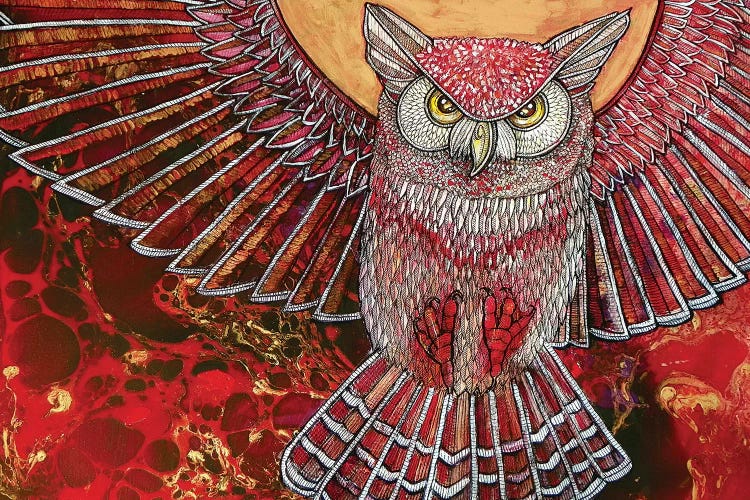 Hunter Owl by Lynnette Shelley wall art