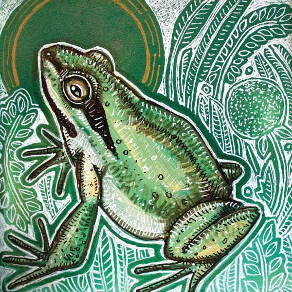 Frogs: Pacific Tree Frog by Lynnette Shelley