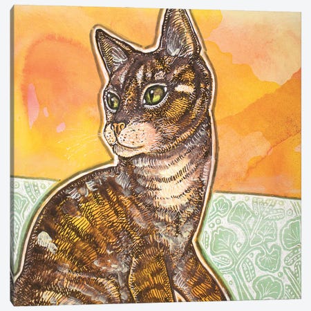 Young Cat Canvas Print #LSH491} by Lynnette Shelley Canvas Artwork