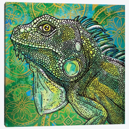 Iguana On Green And Gold Canvas Print #LSH49} by Lynnette Shelley Canvas Art Print