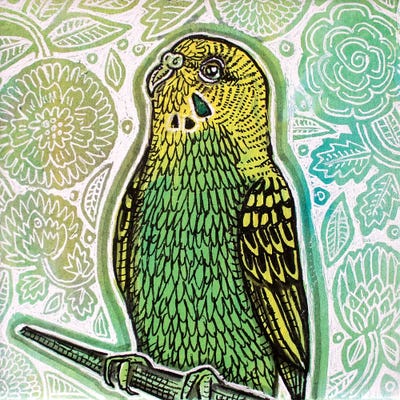 Green Parakeet by Lynnette Shelley framed canvas print