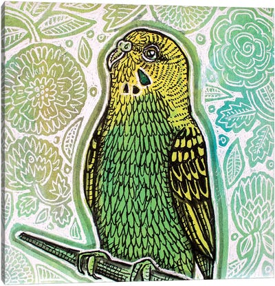 Green Parakeet Canvas Art Print - Parakeet Art