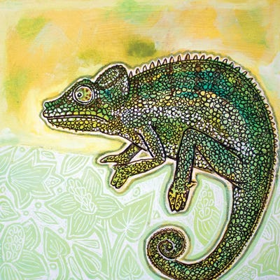Color Me Chameleon by Lynnette Shelley art print