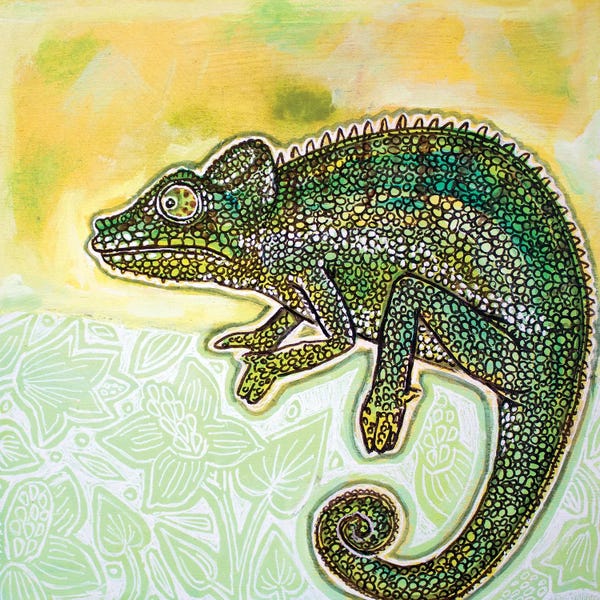 Chameleons: Color Me Chameleon by Lynnette Shelley
