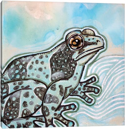 Amazon Milk Frog Canvas Art Print - Lynnette Shelley