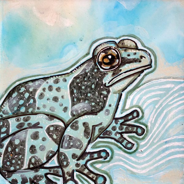 Frogs: Amazon Milk Frog by Lynnette Shelley