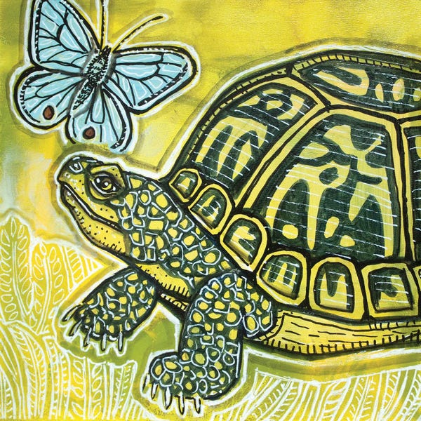 Turtles: Things Are Looking Up by Lynnette Shelley