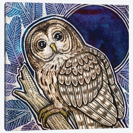 Barred Owl On Fir Tree Canvas Print #LSH527} by Lynnette Shelley Canvas Art Print