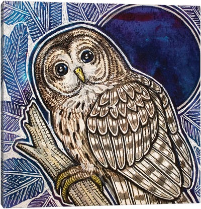 Barred Owl On Fir Tree Canvas Art Print - Lynnette Shelley