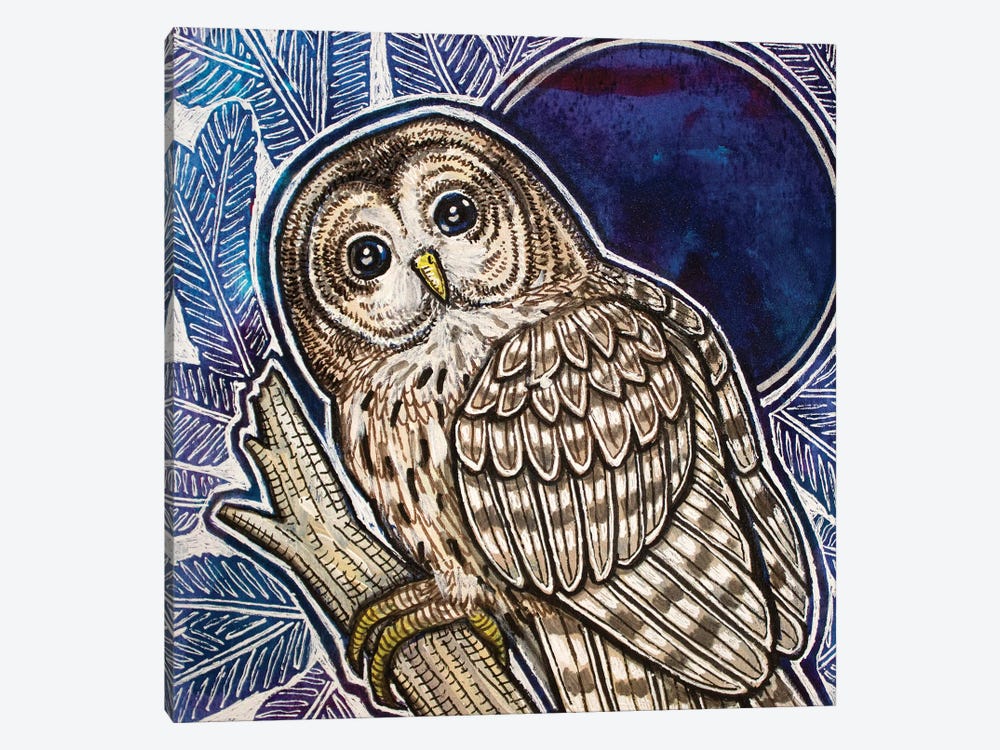Barred Owl On Fir Tree by Lynnette Shelley 1-piece Canvas Artwork