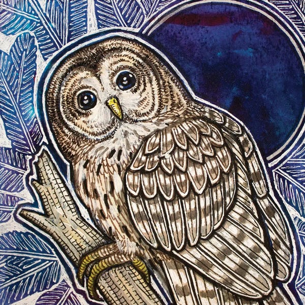 Lynnette Shelley: Barred Owl On Fir Tree by Lynnette Shelley