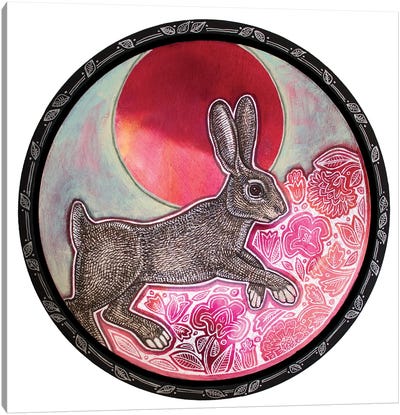 Spring Moon Hare Canvas Art Print - Lynnette Shelley
