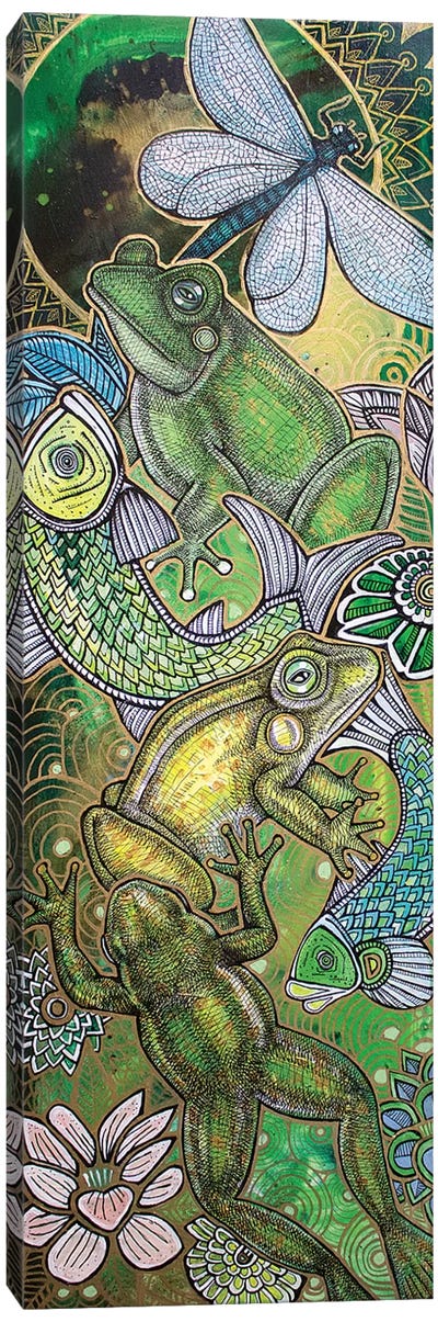 Leap Frog Canvas Art Print - Lynnette Shelley