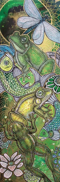 Frogs: Leap Frog by Lynnette Shelley